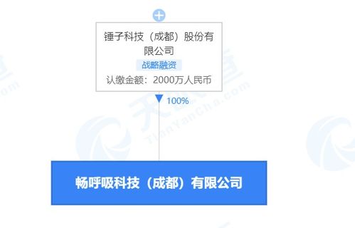 錘子科技關聯公司與溫洪喜遭消費限制 軟件及輔助設備業務前景生變